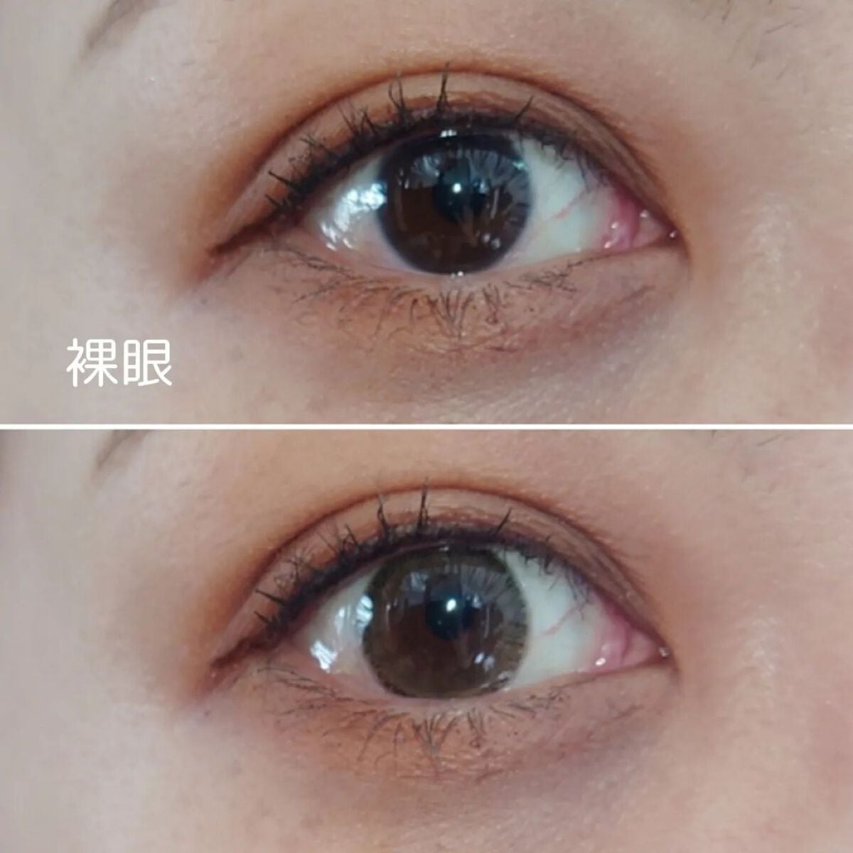 Peaceful Kristen/Hapa kristin/カラーコンタクトレンズを使ったクチコミ(6枚目)