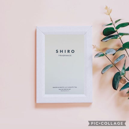 オードパルファンセット/SHIRO/その他キットセットを使ったクチコミ(1枚目)