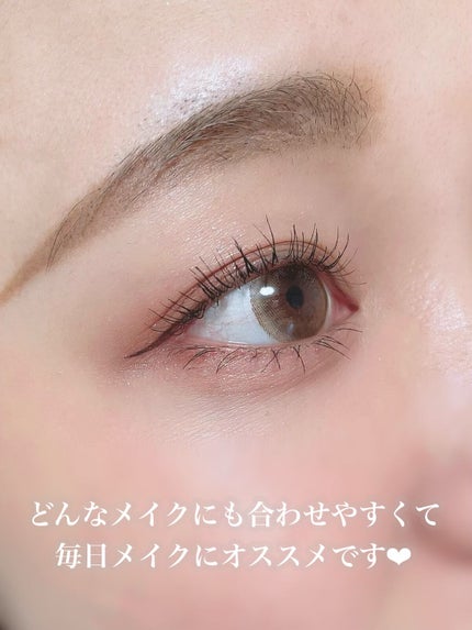リッチスタンダード スタンダードライン 1day/RICH STANDARD/ワンデー(1DAY)カラコンを使ったクチコミ(6枚目)
