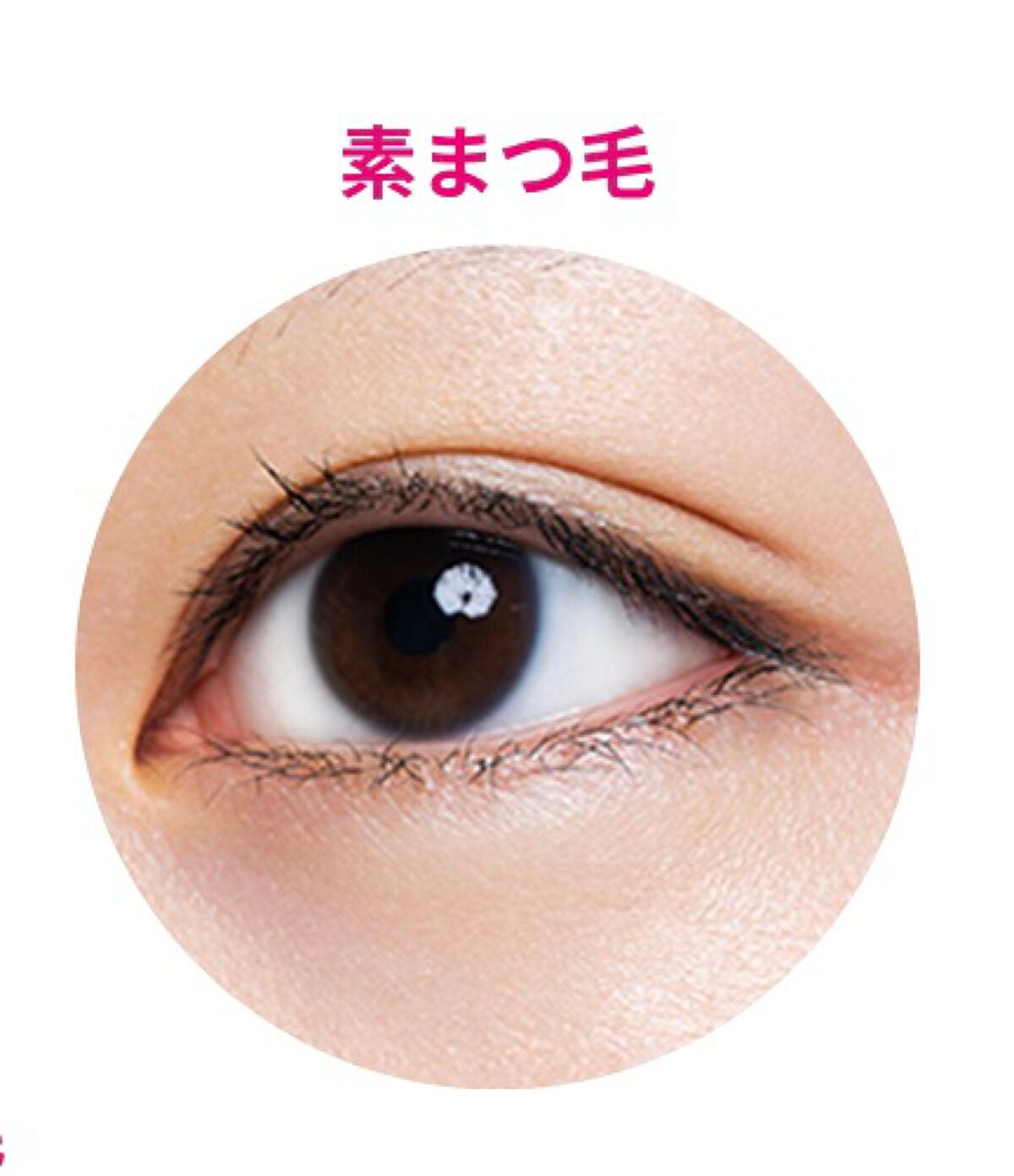 カールキープマジック/コーセーコスメニエンス/マスカラを使ったクチコミ(2枚目)