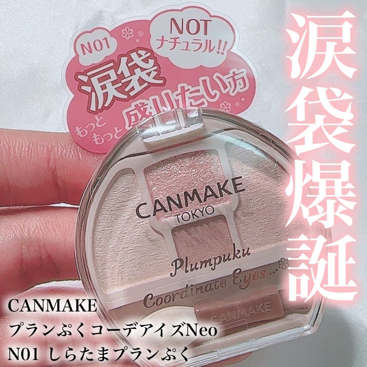 ãã©ã³ã·ãã³ãŒãã¢ã€ãºNeo/ãã£ã³ã¡ã€ã¯/ã¢ã€ã·ã£ããŠã䜿ã£ãã¯ãã³ãïŒ1æç®ïŒ