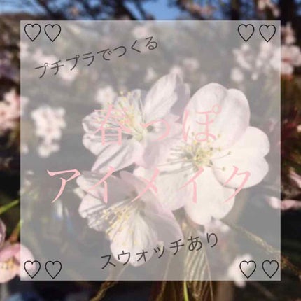 シングルカラーアイシャドウ/CEZANNE/単色アイシャドウを使ったクチコミ(1枚目)