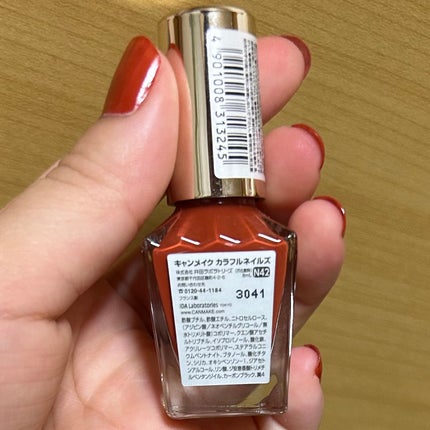 カラフルネイルズ N42 バーントオレンジ/キャンメイク/マニキュアの画像
