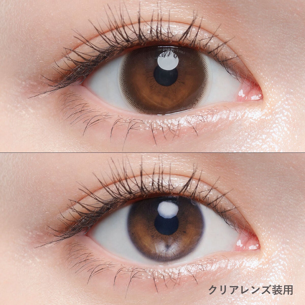 Chu's me BLUE LIGHT SAVE 1day マロンラテ