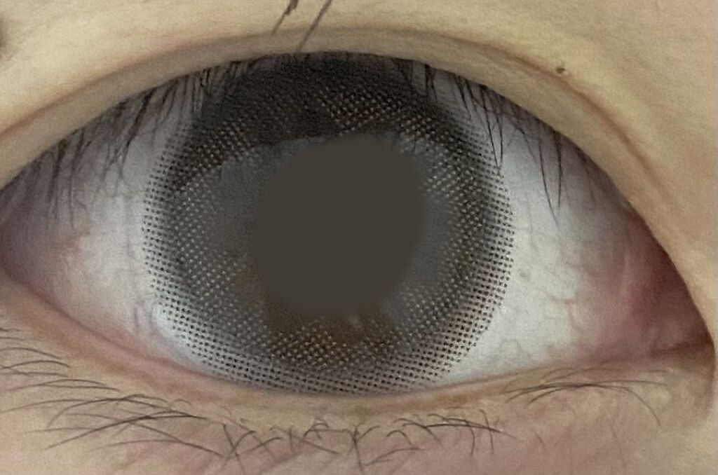 eye closet 1DAY/EYE CLOSET/ワンデー（１DAY）カラコンを使ったクチコミ（1枚目）