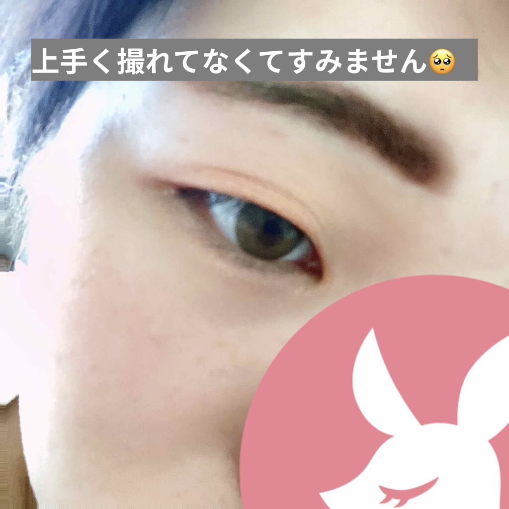 プロ アイ パレット/CLIO/アイシャドウパレットを使ったクチコミ(3枚目)