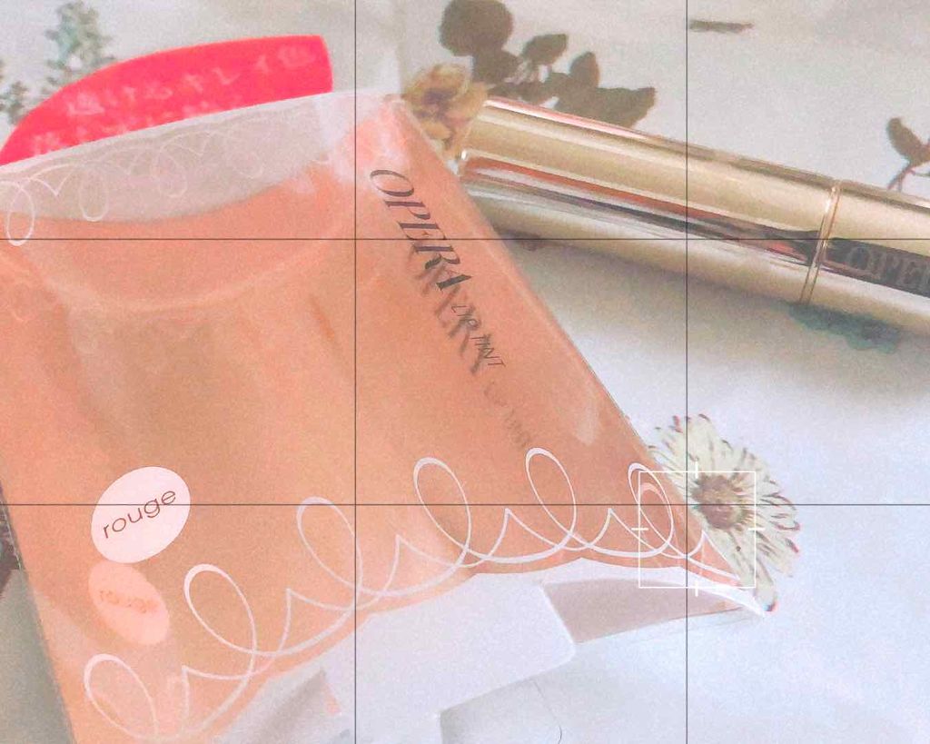 オペラ リップティント N/OPERA/リップティントを使ったクチコミ（1枚目）