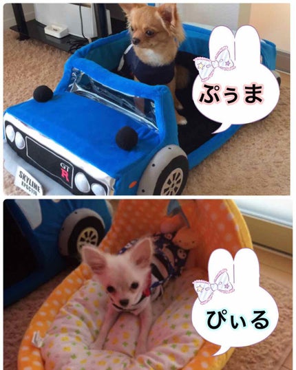 ハトムギ化粧水(ナチュリエ スキンコンディショナー R )/ナチュリエ/化粧水を使ったクチコミ(4枚目)