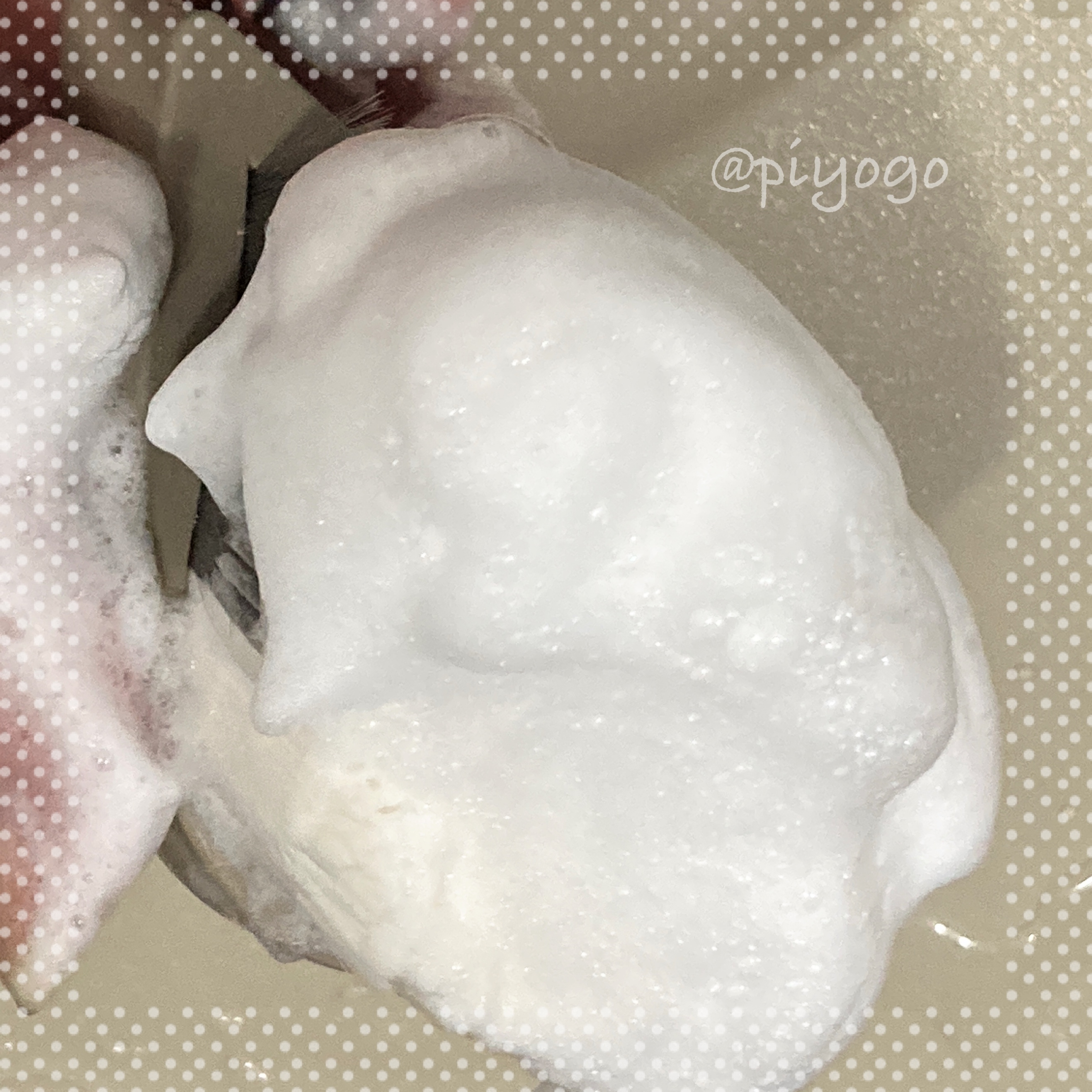 リッチホイップブラシSHINKA(シンカ)/SHOBIDO/その他スキンケアグッズを使ったクチコミ（3枚目）