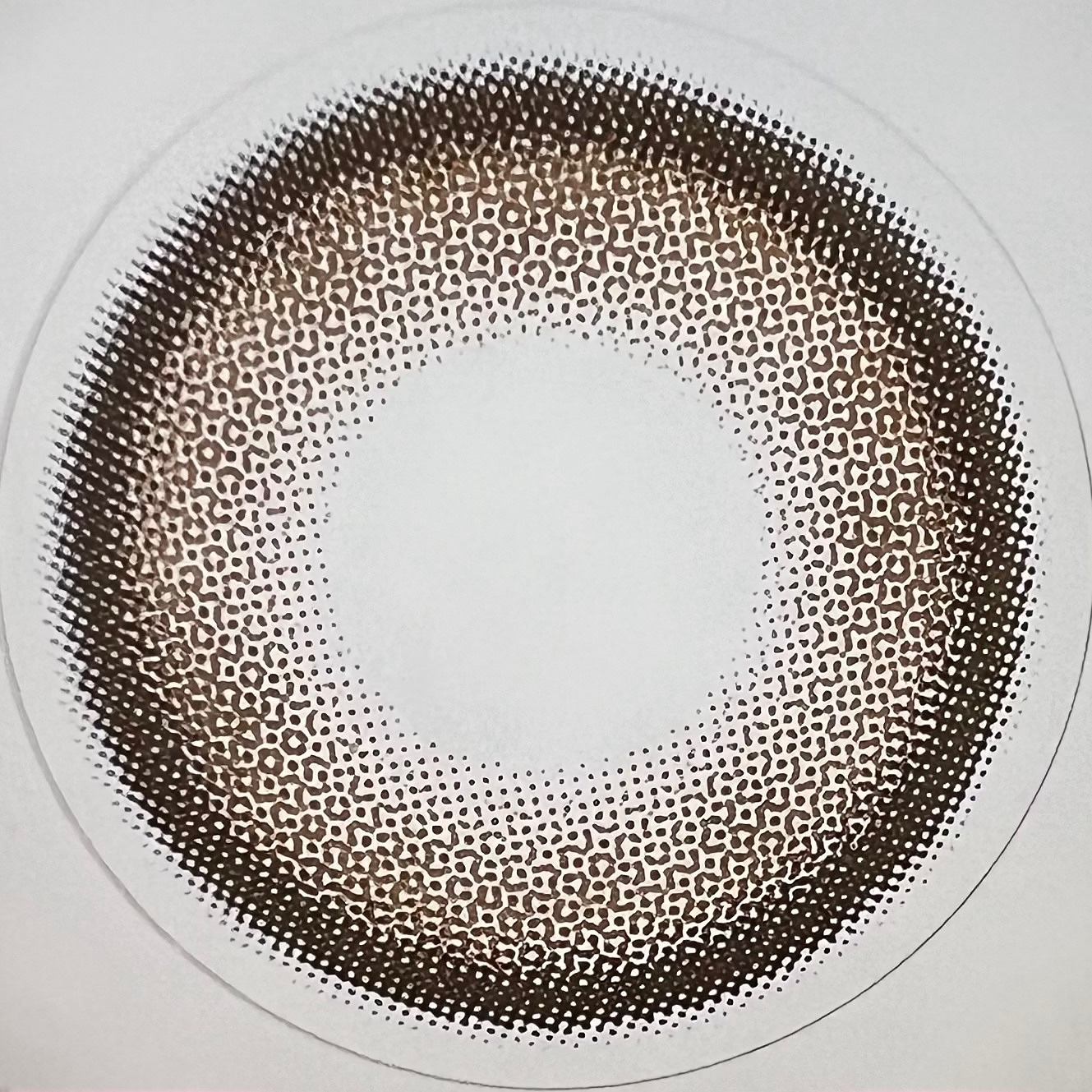 エバーカラーワンデーミリモア よくばりシロップ/エバーカラー/ワンデー（１DAY）カラコンを使ったクチコミ（3枚目）