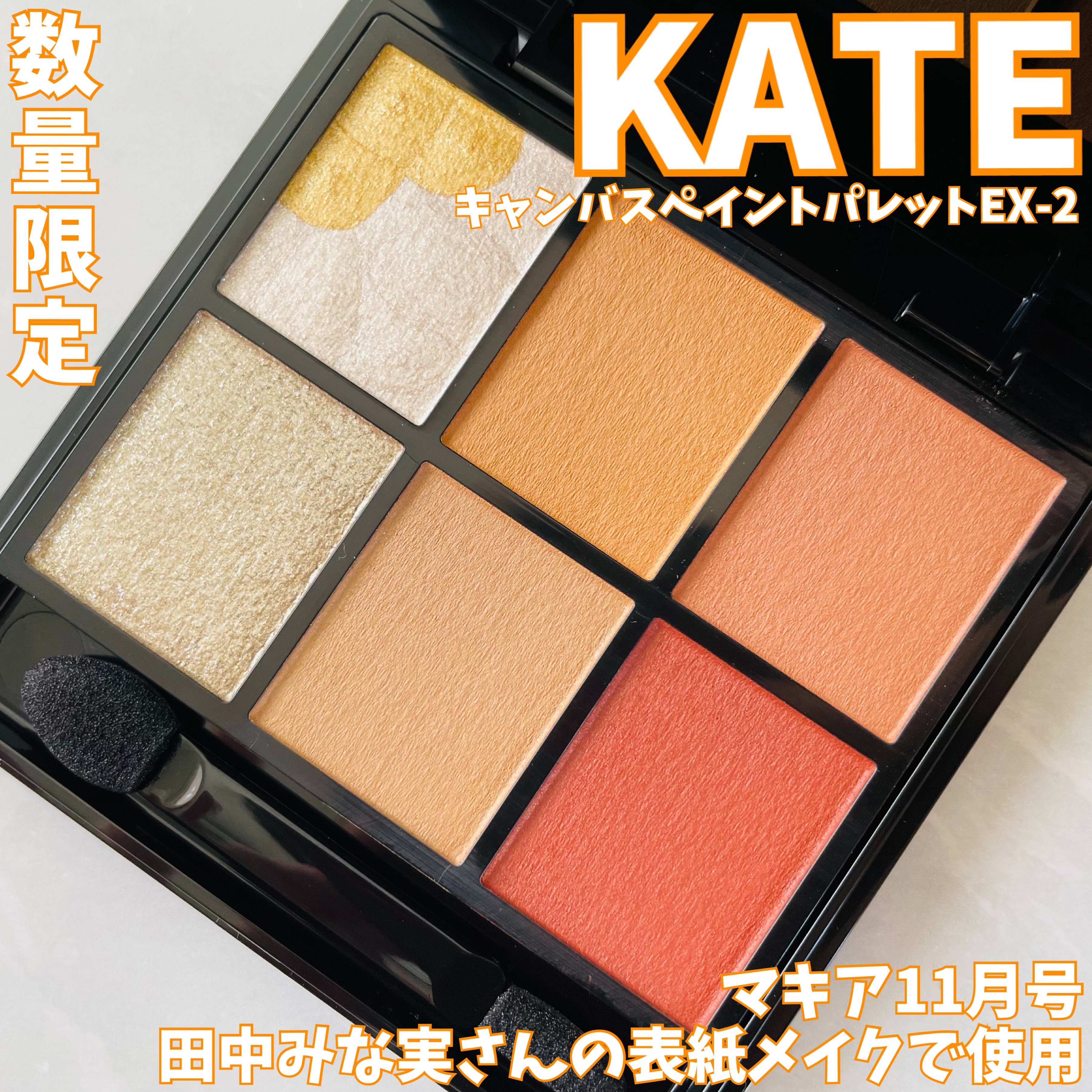 キャンバスペイントパレット/KATE/マルチパレットを使ったクチコミ（1枚目）
