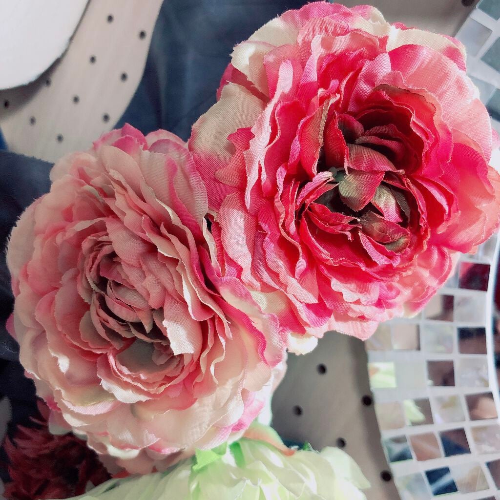 フレグランス ボディミスト マリアリゲル/フェルナンダ/香水(レディース)を使ったクチコミ(1枚目)