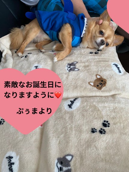 ロング&カールマスカラ アドバンストフィルム/ヒロインメイク/マスカラを使ったクチコミ(7枚目)