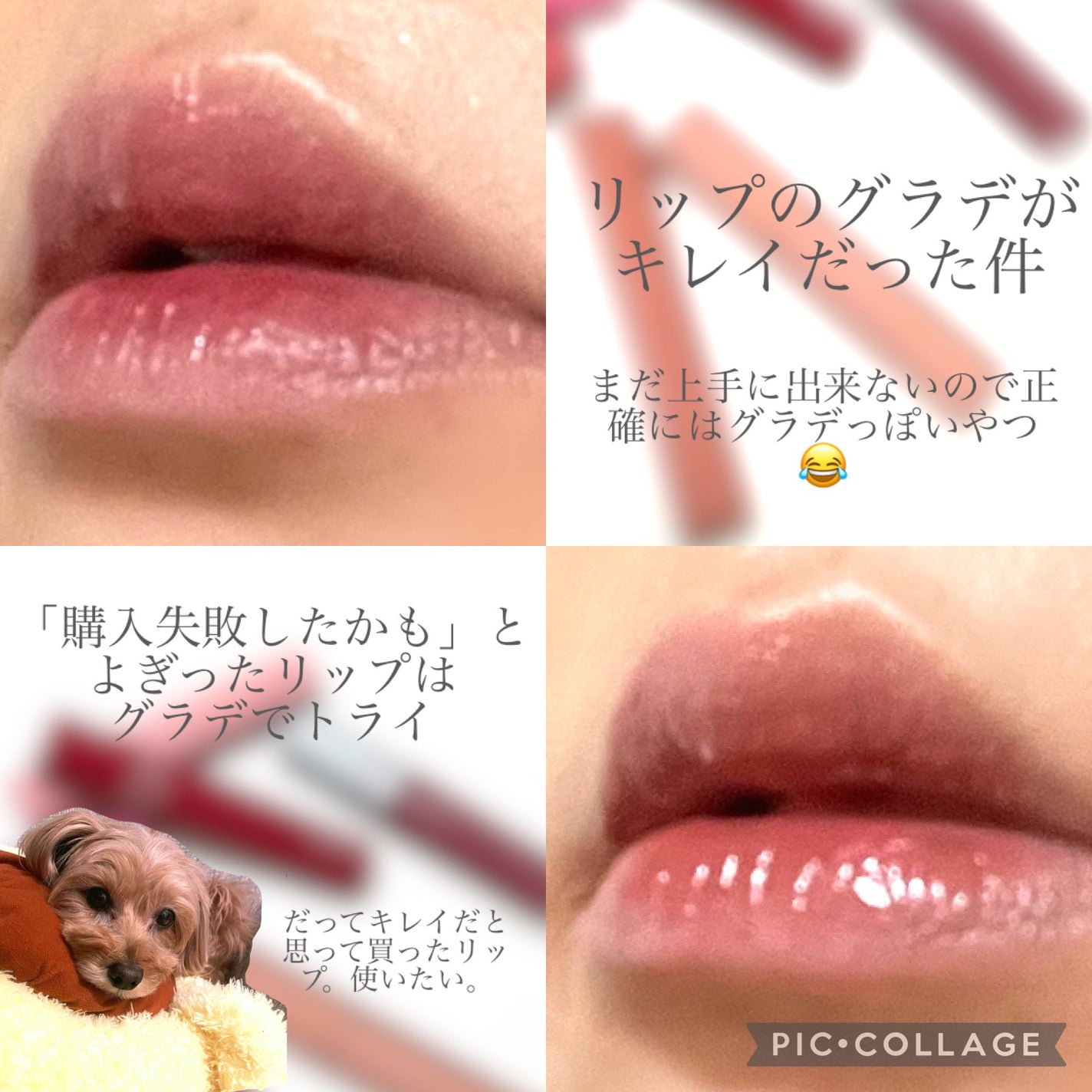 ジューシーラスティングティント/rom&nd/リップティントを使ったクチコミ(1枚目)