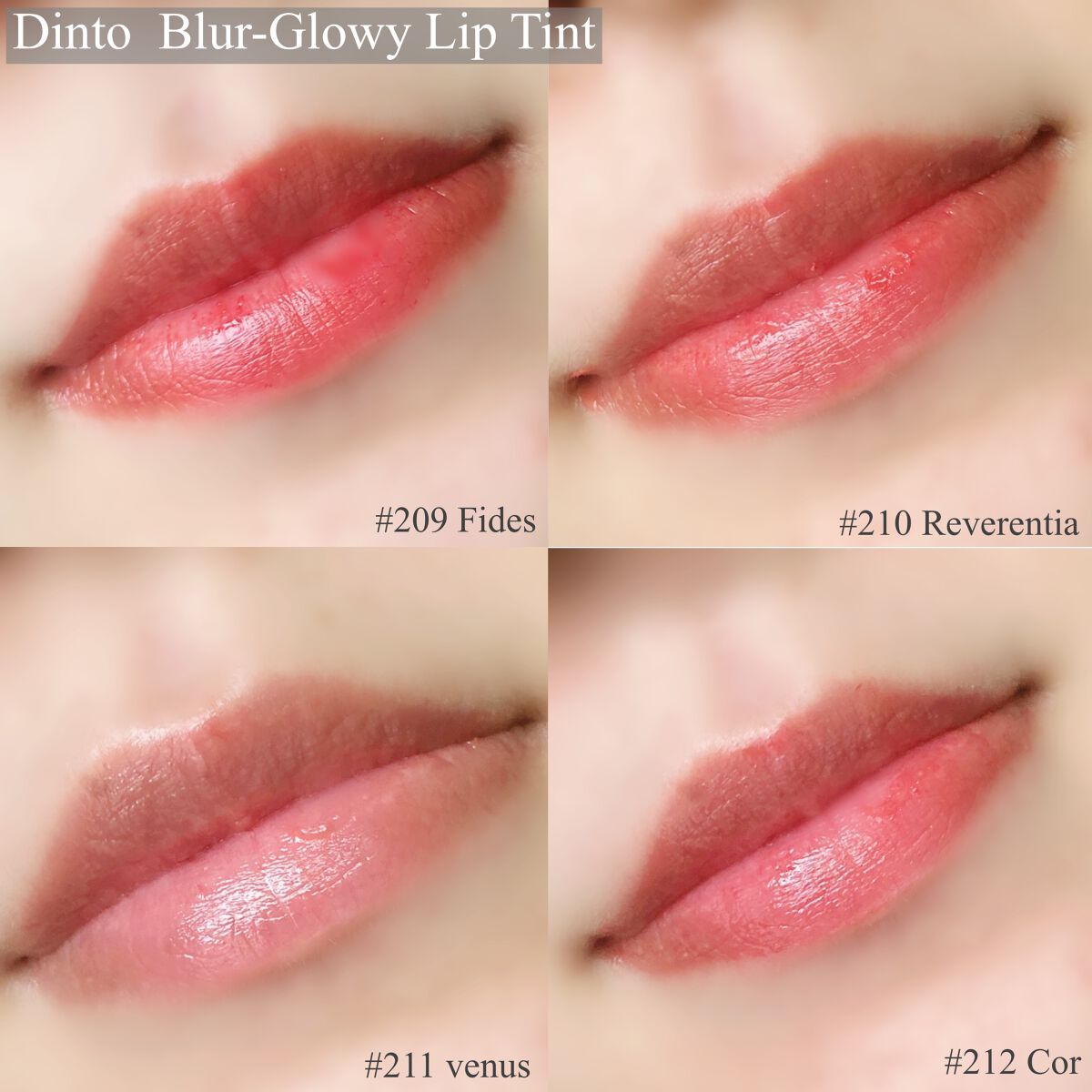 ブラーグロイリップティント 212 コア/Dinto/リップティントを使ったクチコミ（2枚目）