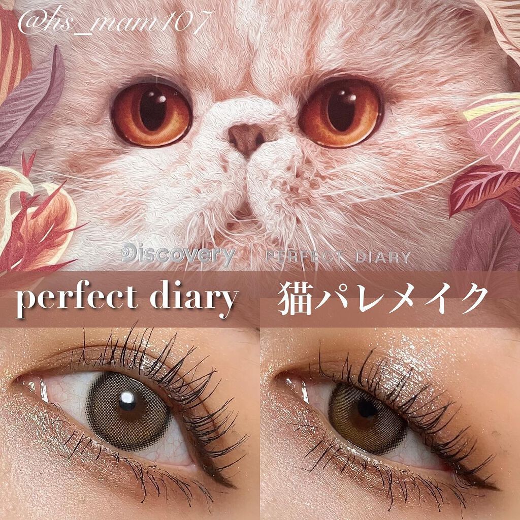 エクスプローラ12色 動物アイシャドウパレット/PERFECT DIARY/アイシャドウパレットを使ったクチコミ（1枚目）