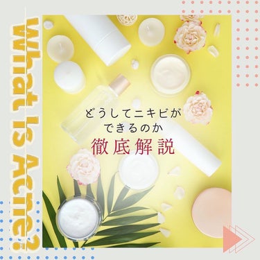 ニキビ･毛穴を治す保健室 on LIPS 「どうしてニキビができるのか？徹底解説ニキビが治らなくて辛い思い..」（1枚目）