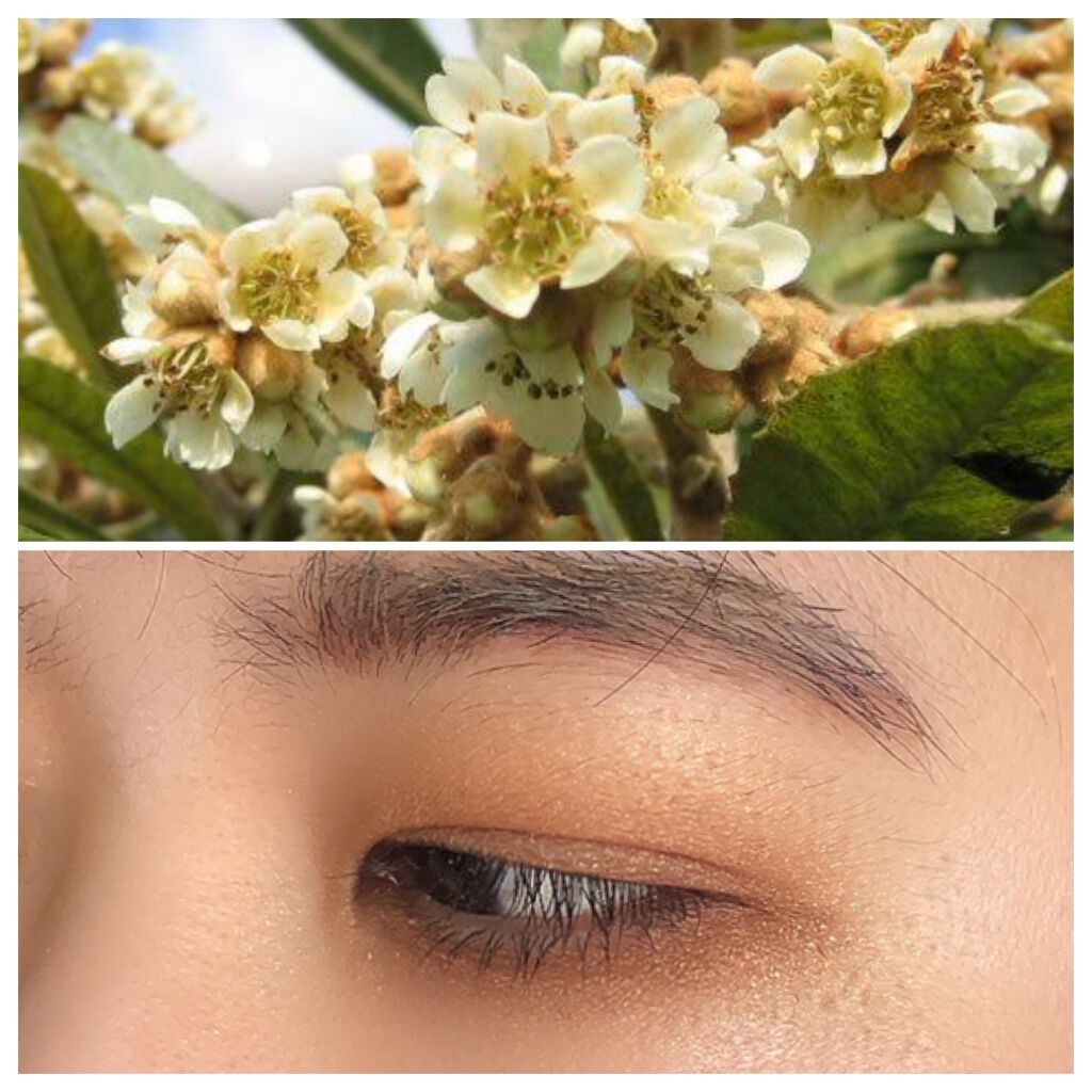 ヴォランタリーベイシス アイパレット/Celvoke/アイシャドウパレットを使ったクチコミ(1枚目)