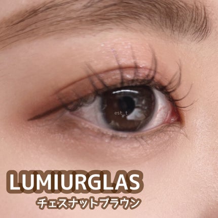 スキルレスライナー/LUMIURGLAS/リキッドアイライナーを使ったクチコミ(1枚目)