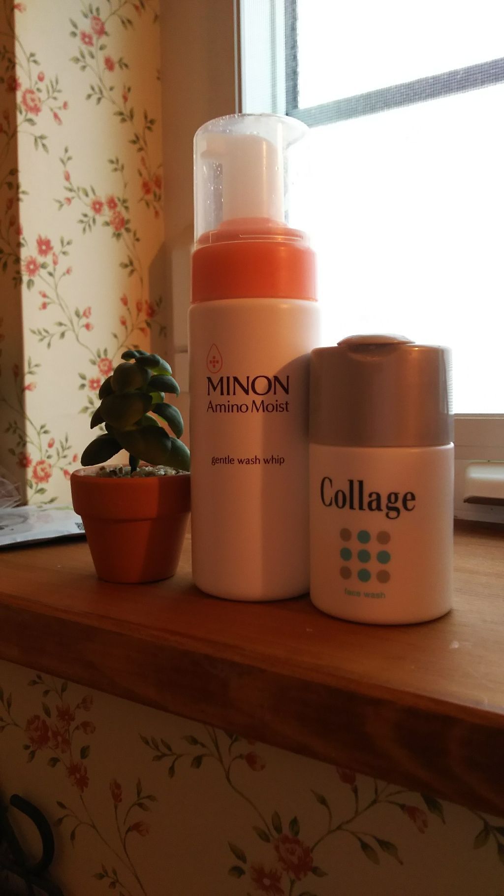 コーラジュ洗顔パウダー/コラージュ/洗顔パウダーを使ったクチコミ（1枚目）