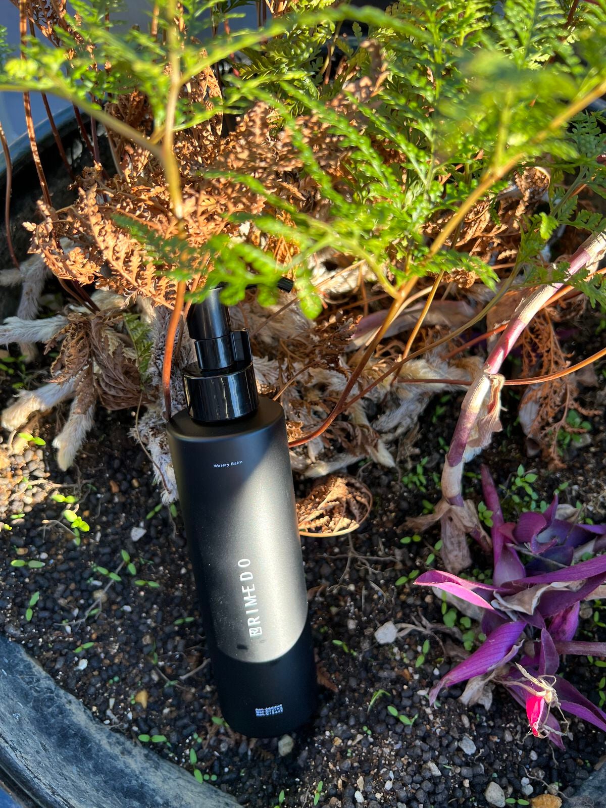 ウォータリー バーム /RIMEDO /クレンジングバームを使ったクチコミ(1枚目)