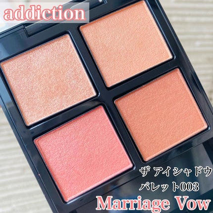 アディクション ザ アイシャドウ パレット/ADDICTION/アイシャドウパレットを使ったクチコミ(1枚目)