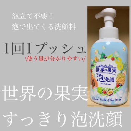 世界の果実 すっきり泡洗顔/世界の果実/泡洗顔を使ったクチコミ(1枚目)