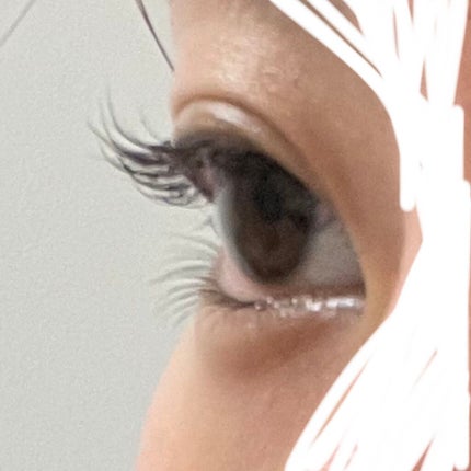 ラッシュジェリードロップ EX/MAJOLICA MAJORCA/まつげ美容液を使ったクチコミ(3枚目)