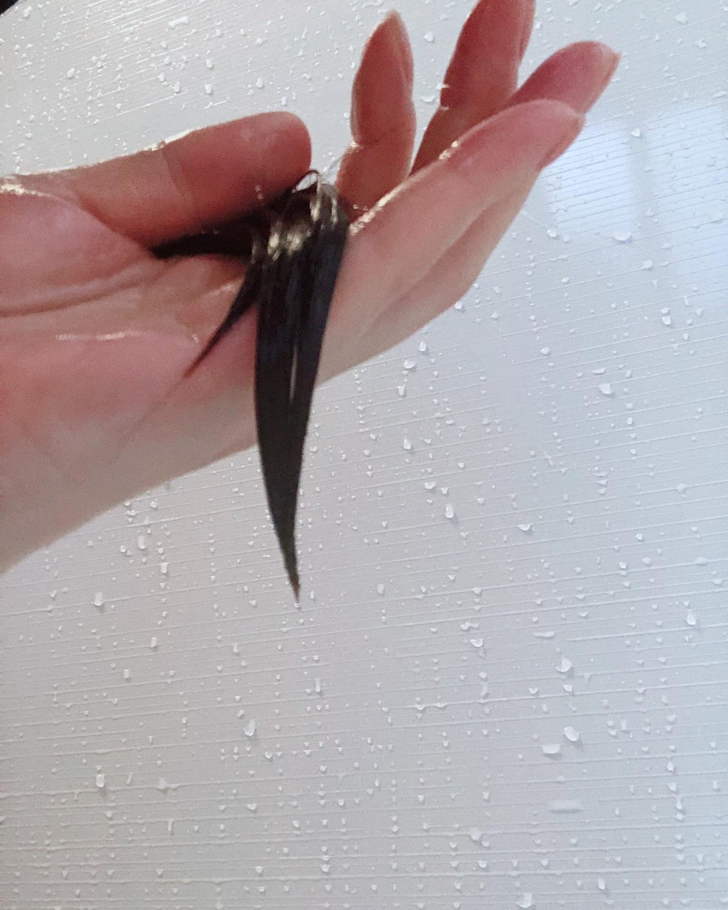 NIJI<ニジ>リズミック シャンプー/トリートメント/NIJI RHYTHMIC/市販シャンプーを使ったクチコミ(3枚目)