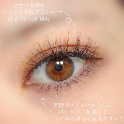カラーラッシュ/D-UP/つけまつげを使ったクチコミ(4枚目)