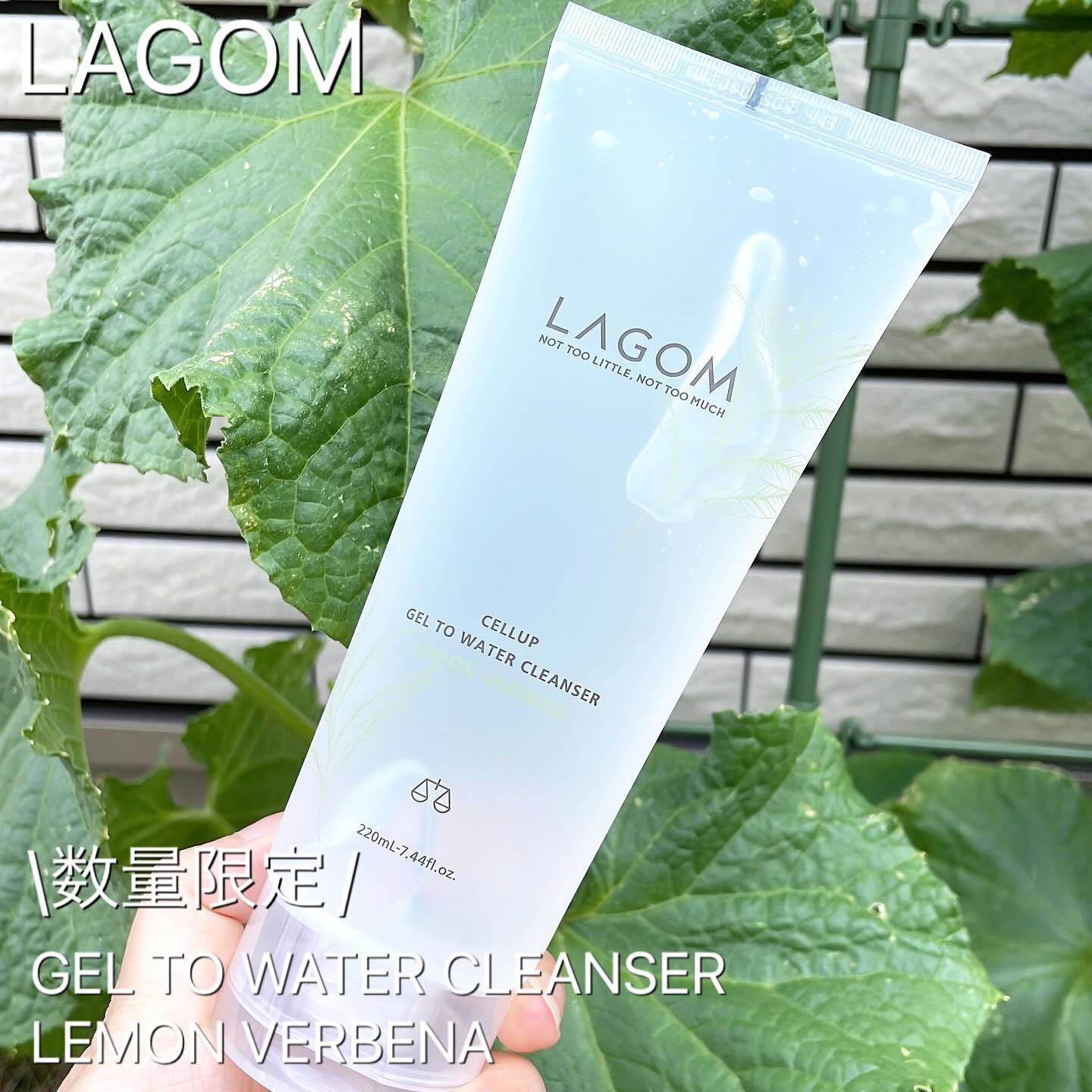 ラゴム ジェルトゥウォーター クレンザー(LV)(朝用洗顔)/LAGOM /その他洗顔料を使ったクチコミ（1枚目）