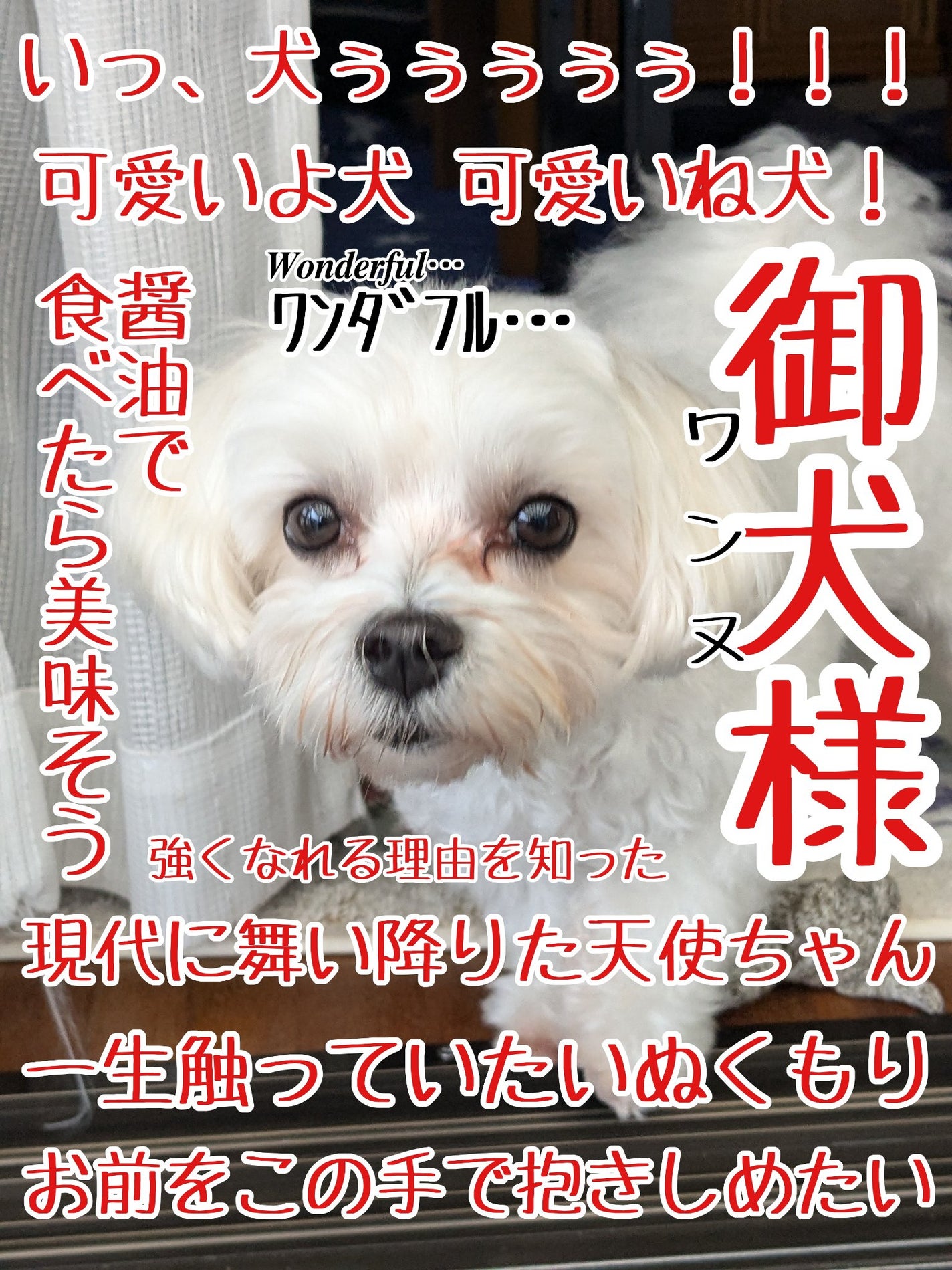 オール テイク ムード パレット(24AD)/PERIPERA/アイシャドウパレットを使ったクチコミ(1枚目)