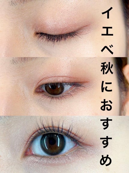 グロッシーリッチ アイズ N/Visée/アイシャドウパレットを使ったクチコミ(3枚目)