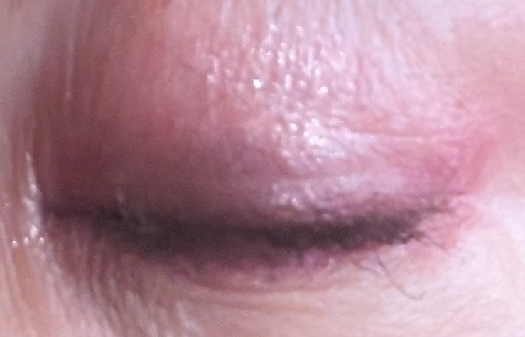 ドリームランドアイシャドウ ( 4シェード ) #01 ピンク/ZEESEA/アイシャドウパレットを使ったクチコミ（3枚目）