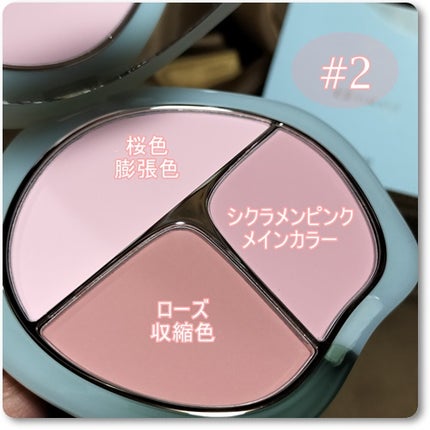 TIMAGE 3色チークパレット/TIMAGE/パウダーチークを使ったクチコミ(2枚目)