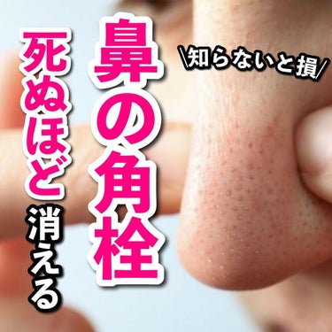 あなたの肌に合ったスキンケア💐コーくん on LIPS 「１月中に鼻の角栓をなくしたい人だけ見てください。.あなたの毛穴..」（1枚目）