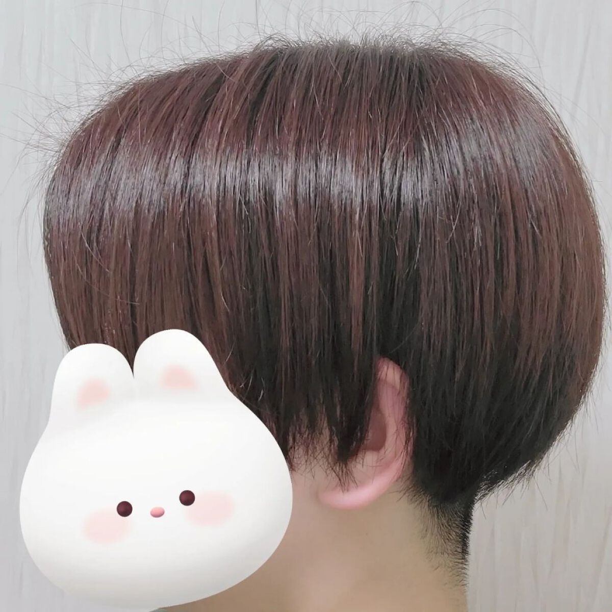 クレイクリームシャンプー（モイスト）/cocone/市販シャンプーを使ったクチコミ（2枚目）