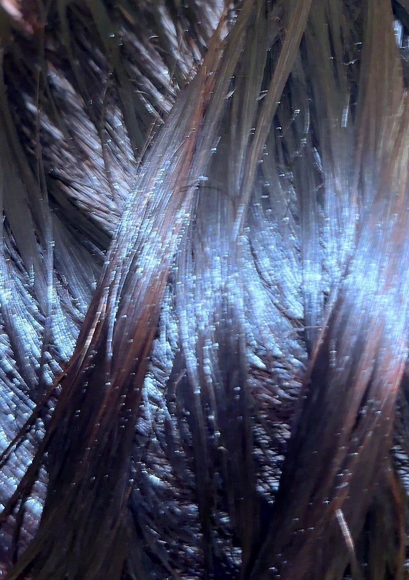 ソフニングコンディショナー 02ミディアムダメージ/Sorule/コンディショナー単品を使ったクチコミ(6枚目)