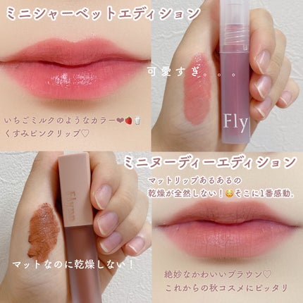 ミニシャーベットエディション/Flynn/メイクアップキットを使ったクチコミ(3枚目)