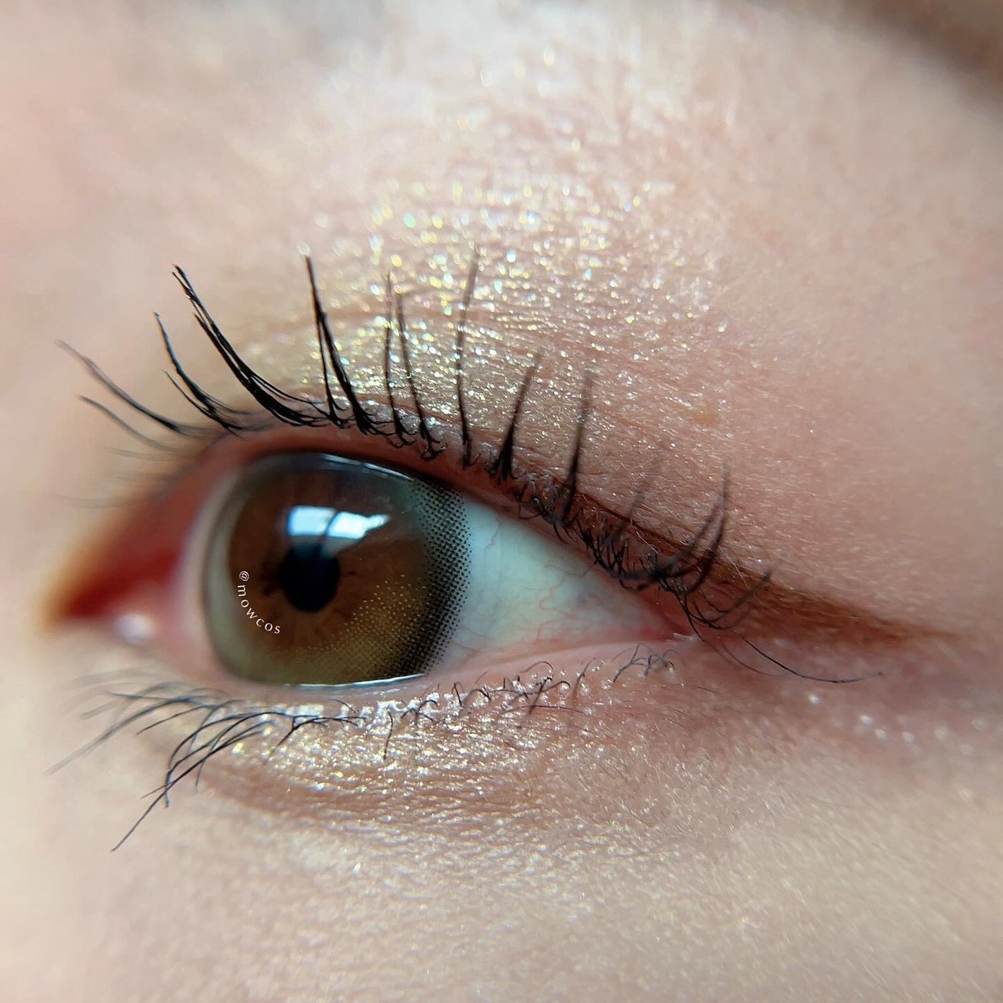 エクスプローラ12色 動物アイシャドウパレット/PERFECT DIARY/アイシャドウパレットを使ったクチコミ(4枚目)