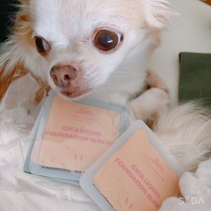 シカ リキッドファンデーション スリムフィット/VT/リキッドファンデーションを使ったクチコミ(1枚目)