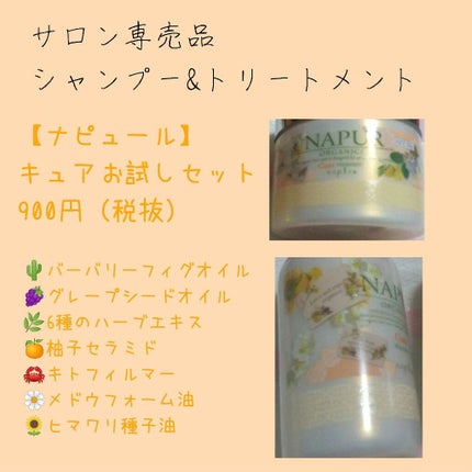 ナピュール キュアシャンプー/トリートメント/N./シャンプー・コンディショナーを使ったクチコミ(1枚目)
