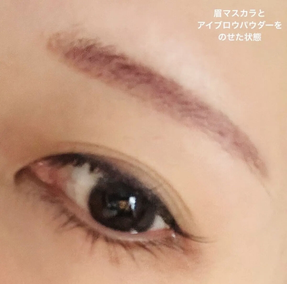 超細芯アイブロウ/CEZANNE/アイブロウペンシルを使ったクチコミ（3枚目）