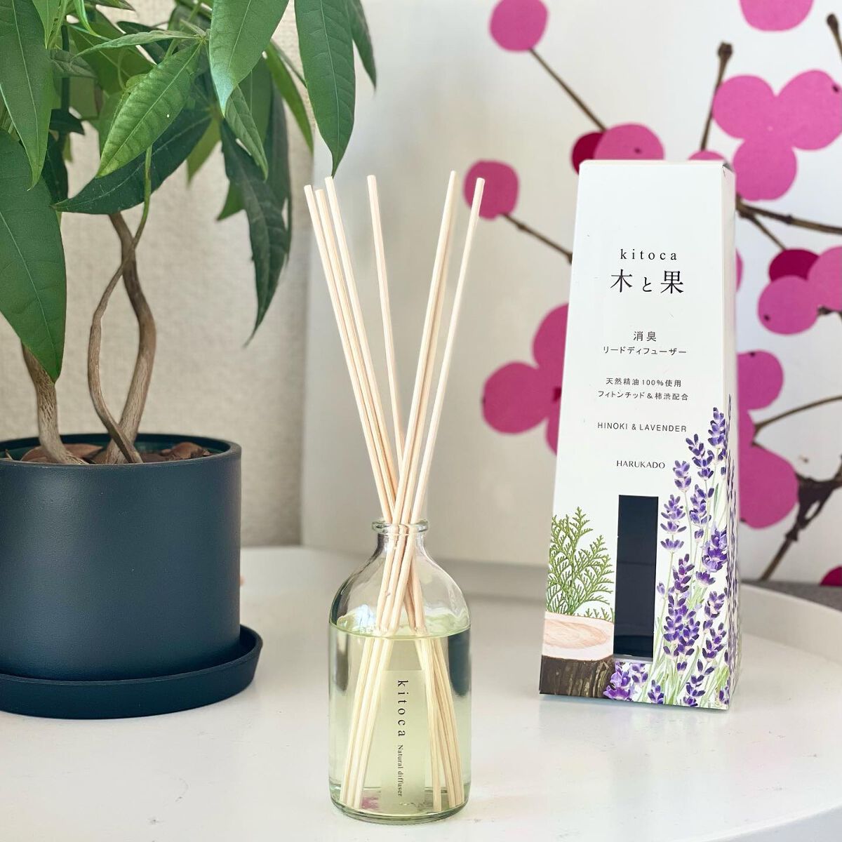 木と果𓂃𖤥𖥧𖥣⋆*
こちらは消臭リードディフューザー
⁡
⁡
⁡
⁡
⁡
樹木からとれるフィトンチッド*と柿の実から取れる柿渋の2種類の消臭エッセンス♡
香りは天然精油を100％使用。
⁡
⁡
⁡
⁡
色んな香りがあるけど、私はヒノ