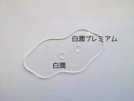 白潤プレミアム薬用浸透美白化粧水/肌ラボ/化粧水を使ったクチコミ(6枚目)