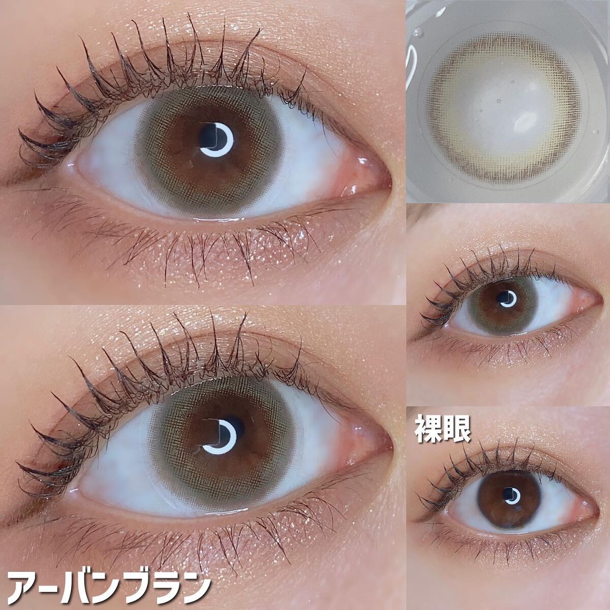 エルージュ 2weeks/éRouge/2週間(2WEEKS)カラコンを使ったクチコミ(6枚目)