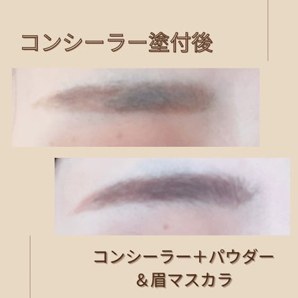 コンシーラーブロウマスカラ/キャンメイク/その他アイブロウを使ったクチコミ(3枚目)