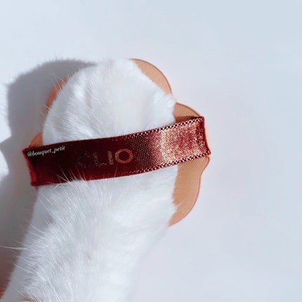 キル カバー ザ ニュー ファンウェア クッション/CLIO/クッションファンデーションを使ったクチコミ(1枚目)