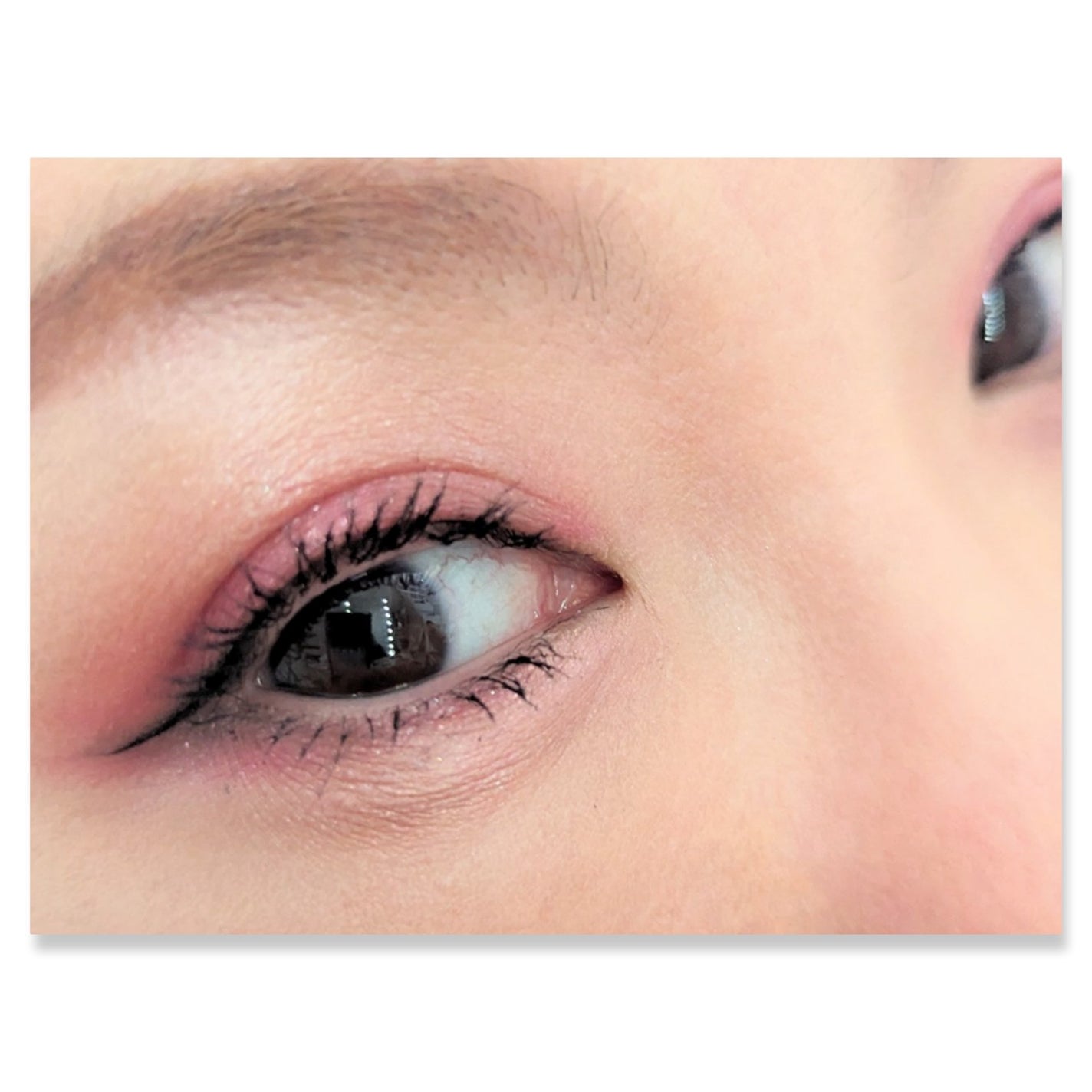 オーラクリエイション/BLEND BERRY/アイシャドウパレットを使ったクチコミ(2枚目)