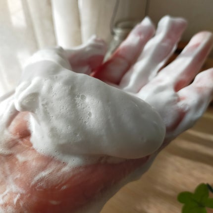 ディープリペア シャンプー モイスト/ヘアトリートメント モイスト/ハニーク/市販シャンプーを使ったクチコミ(2枚目)